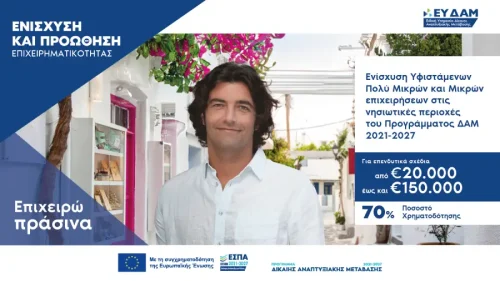 Υφιστάμενες πολύ μικρές, μικρές επιχειρήσεις