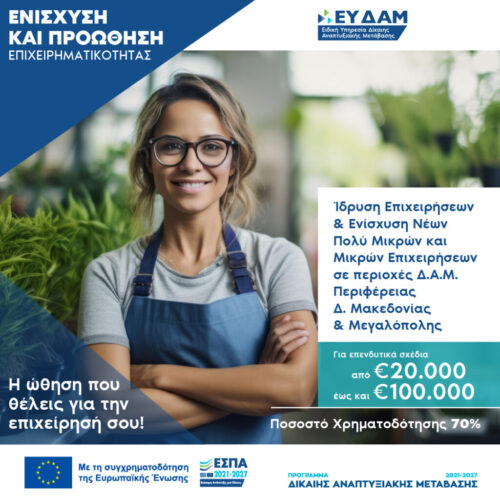 ΙΔΡΥΣΗ ΠΜΜΕ ΔΑΜ